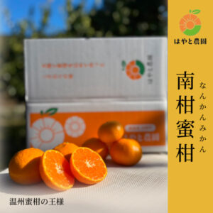 南柑蜜柑
