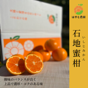 石地蜜柑