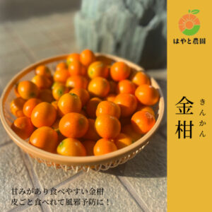 金柑